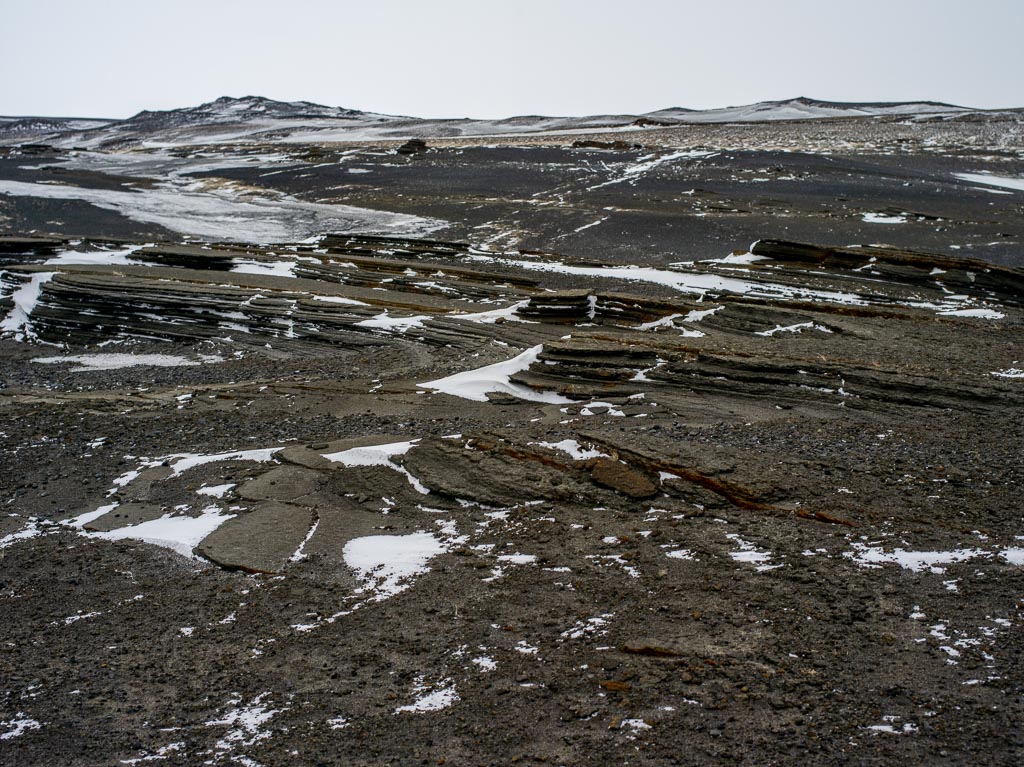 Pentax 645D / 31 Pentax 645D   31