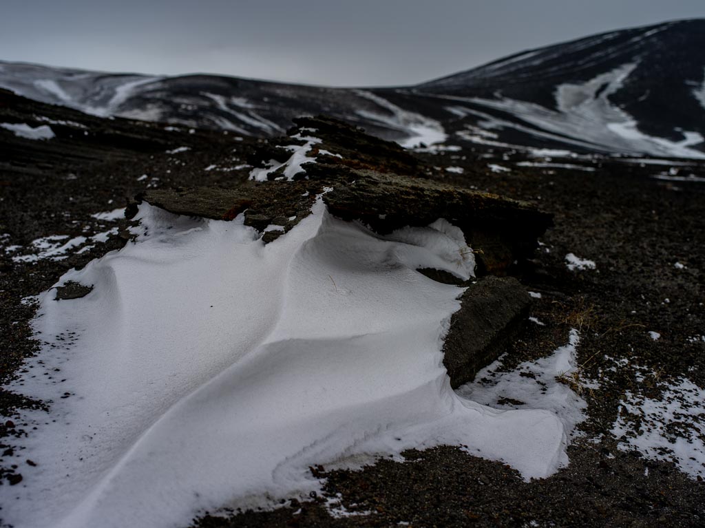 Pentax 645D / 31 Pentax 645D   31