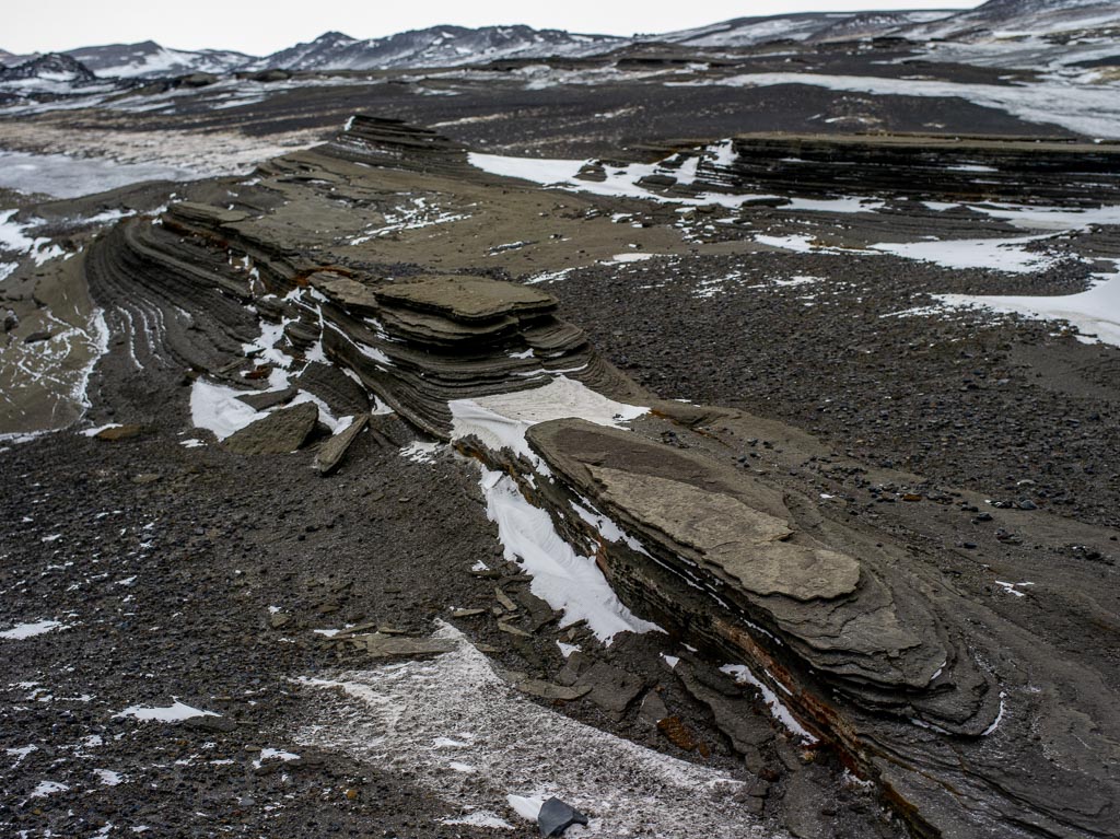 Pentax 645D / 31 Pentax 645D   31