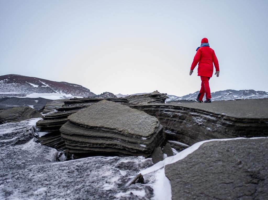 Pentax 645D / 31 Pentax 645D   31