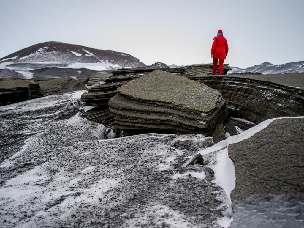 Pentax 645D / 31 Pentax 645D   31