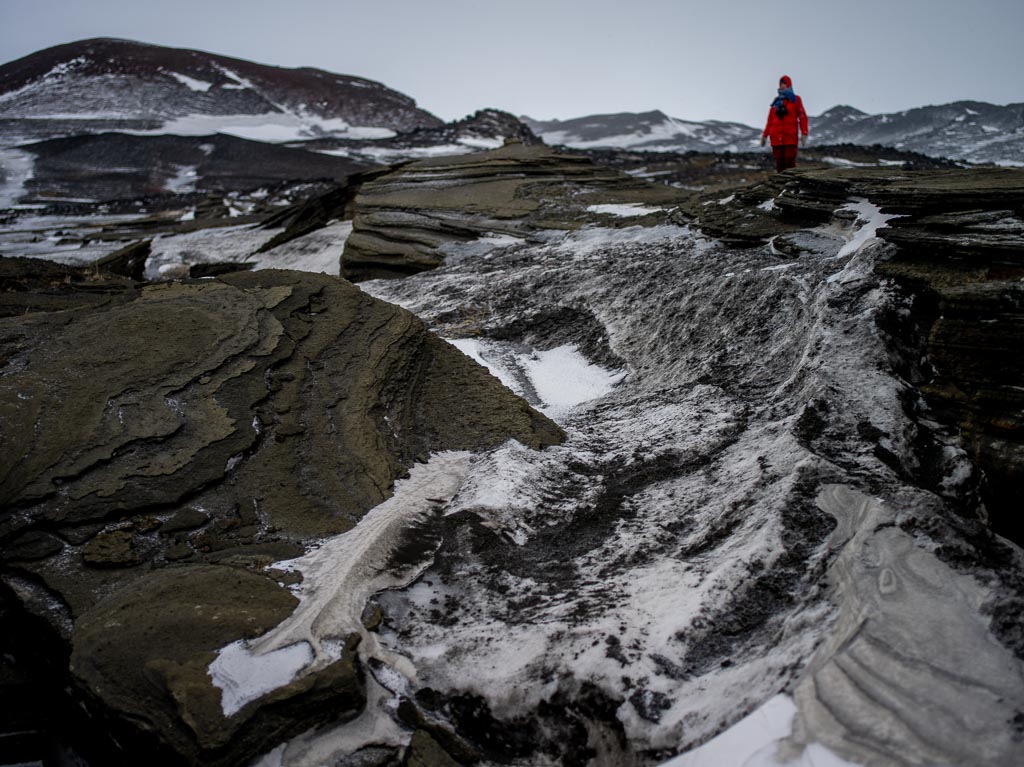 Pentax 645D / 31 Pentax 645D   31