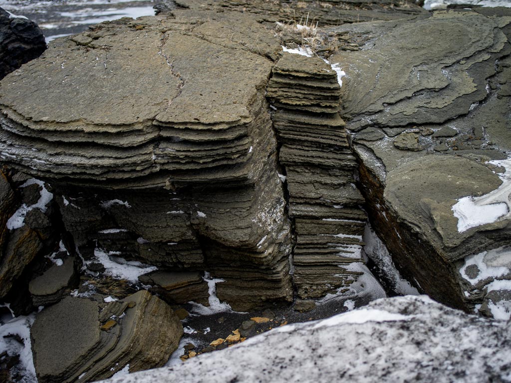 Pentax 645D / 31 Pentax 645D   31