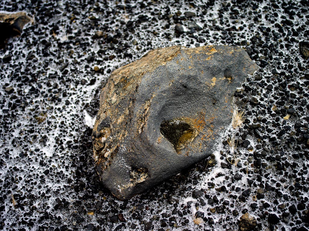 Pentax 645D / 31 Pentax 645D   31