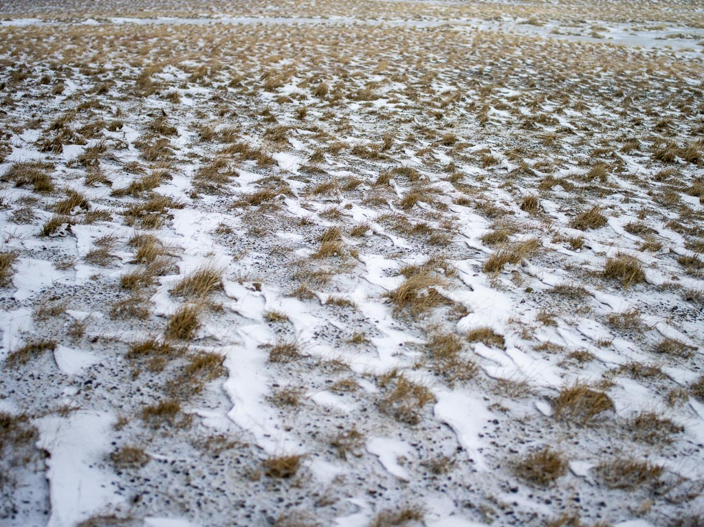 Pentax 645D / 31 Pentax 645D   31