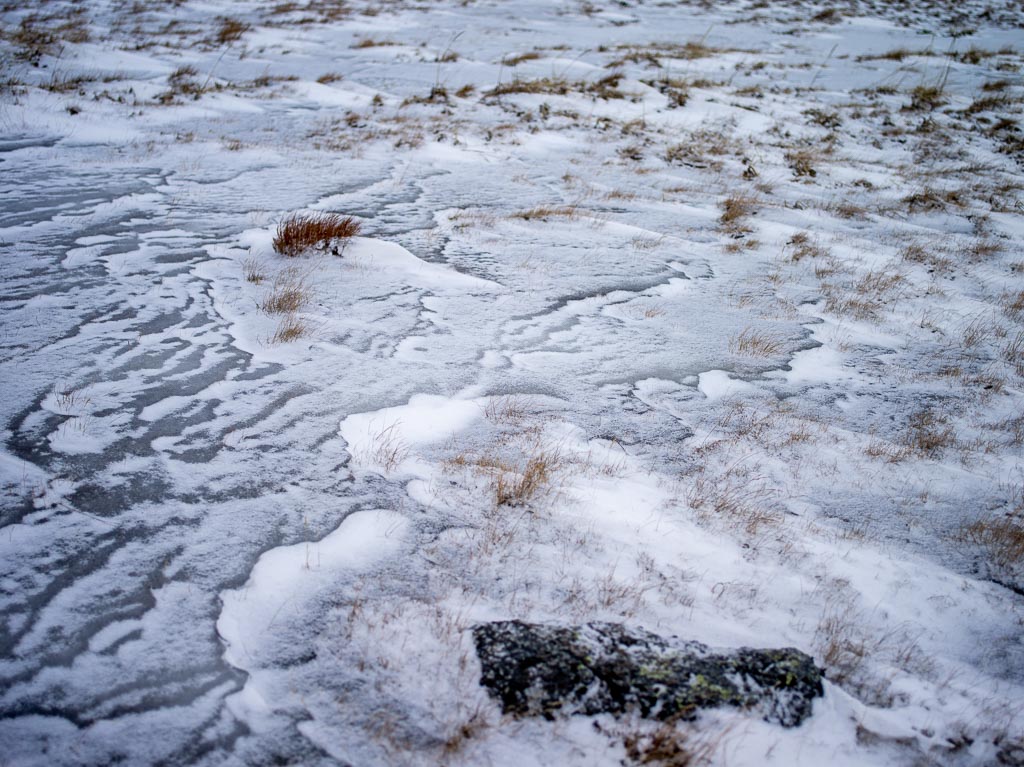 Pentax 645D / 31 Pentax 645D   31