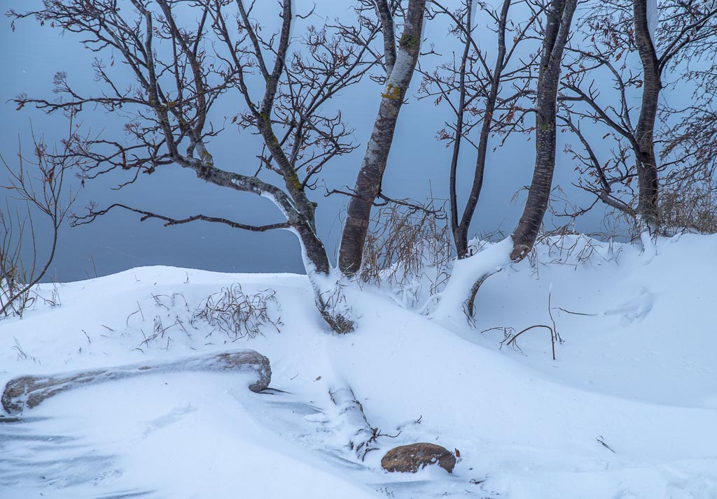 Pentax K-1 / 4 Pentax K-1   4