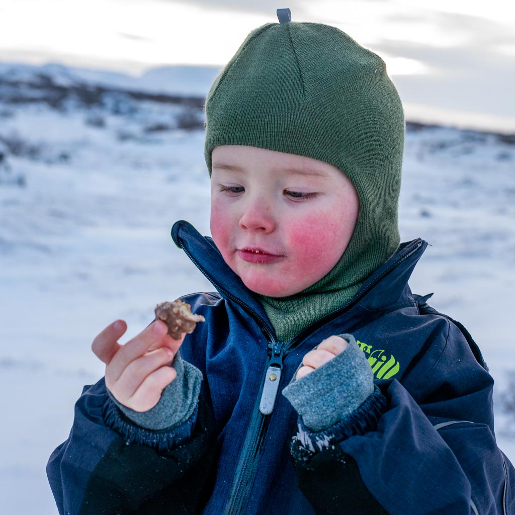 Pentax 645D / 5 Pentax 645D   5