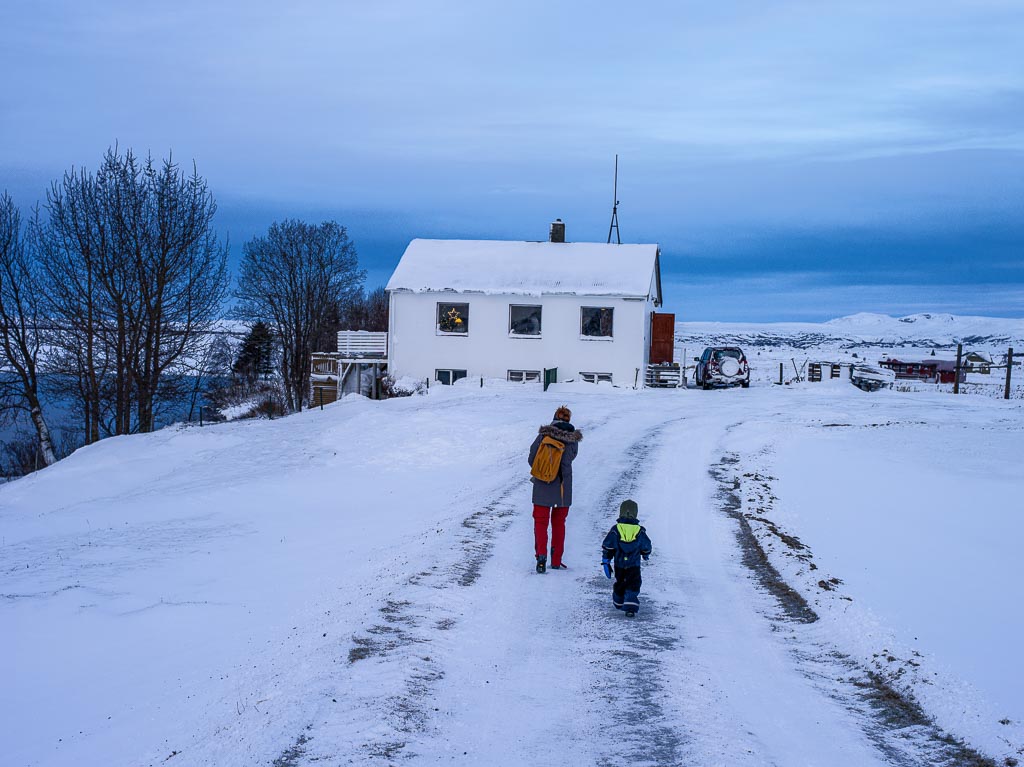 Pentax 645D / 5 Pentax 645D   5