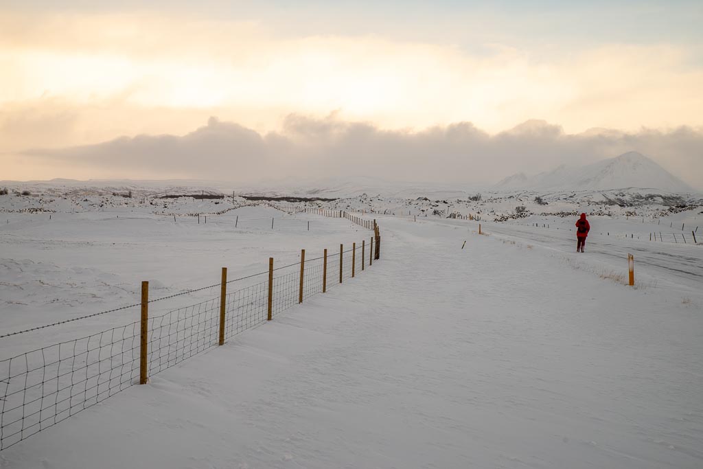 Pentax K-1 / 6 Pentax K-1   6
