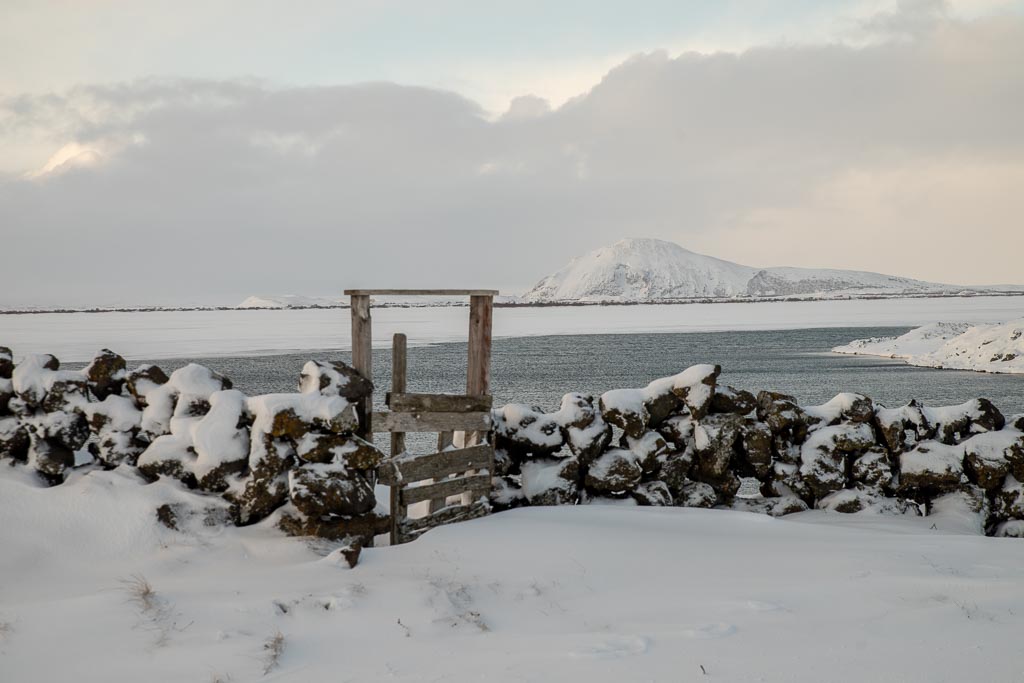 Pentax K-1 / 6 Pentax K-1   6