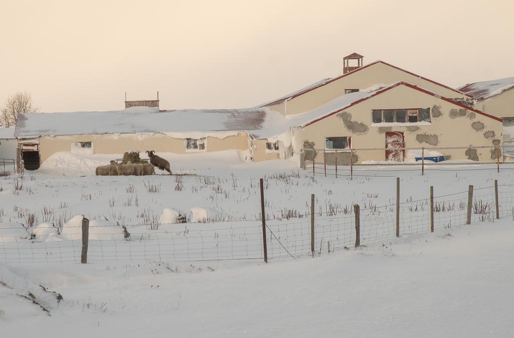 Pentax K-1 / 6 Pentax K-1   6