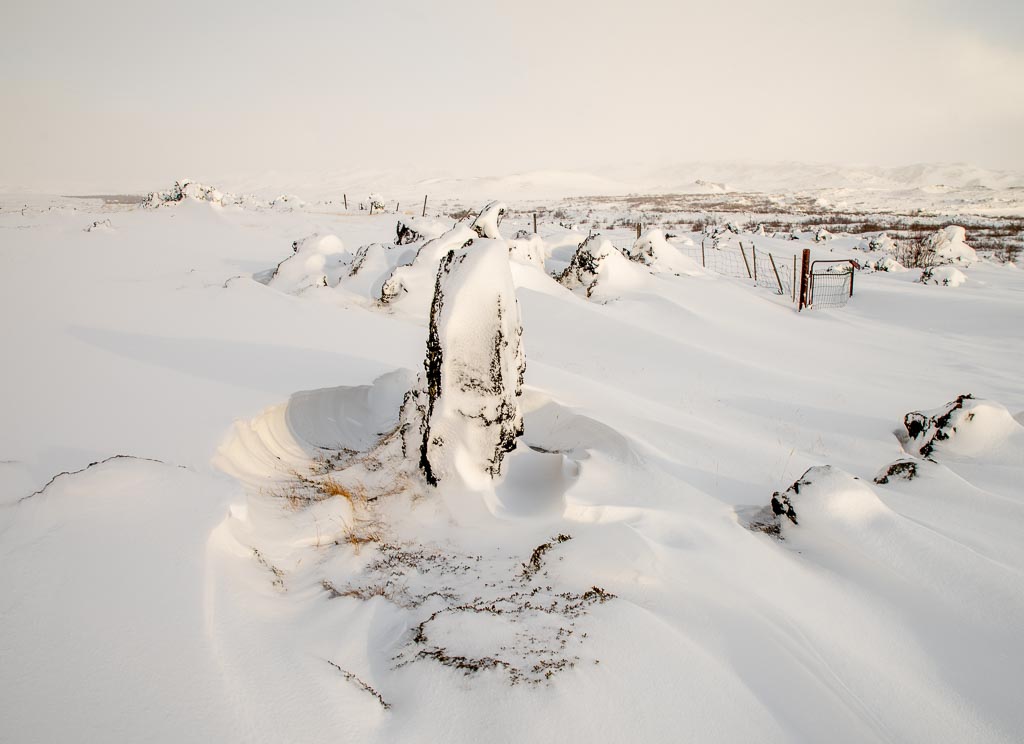 Pentax K-1 / 6 Pentax K-1   6