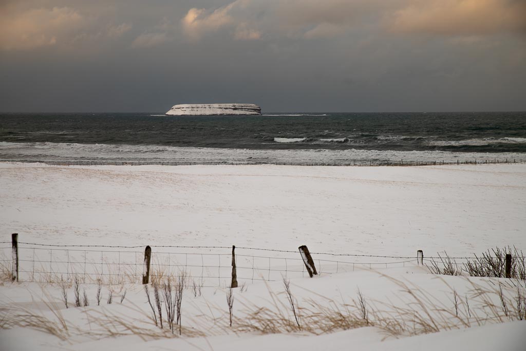 Pentax K-1 / 9 Pentax K-1   9