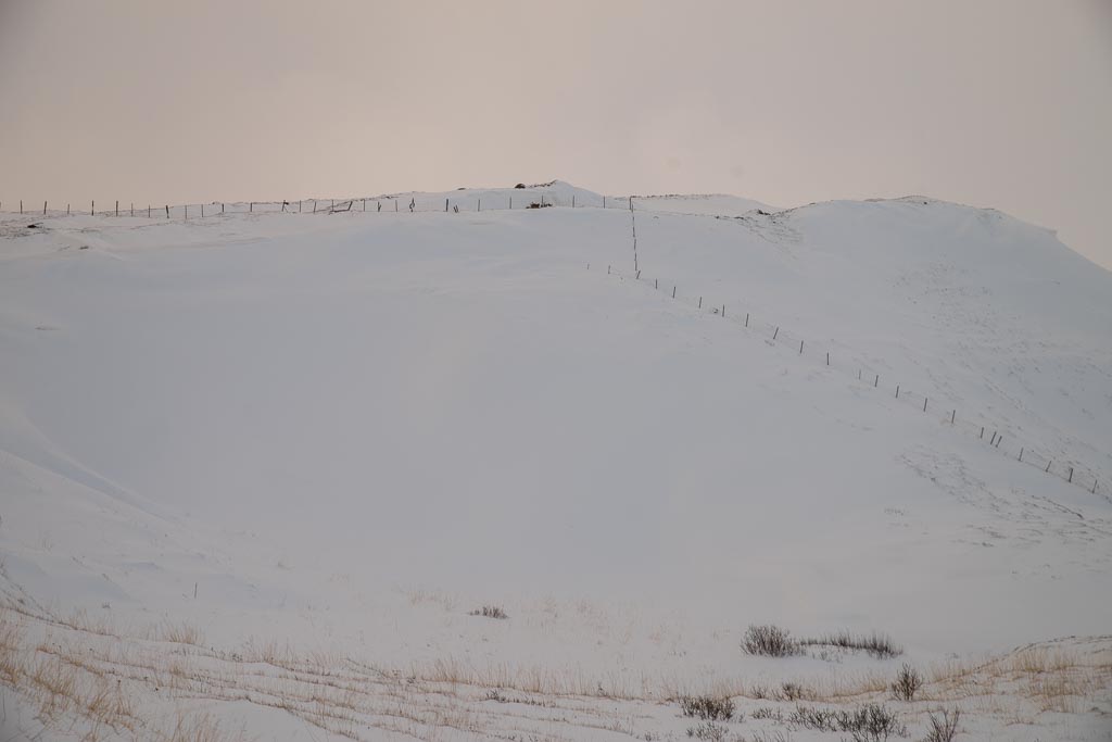 Pentax K-1 / 9 Pentax K-1   9