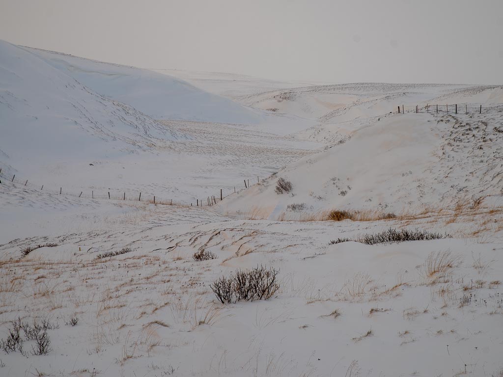 Pentax K-1 / 9 Pentax K-1   9