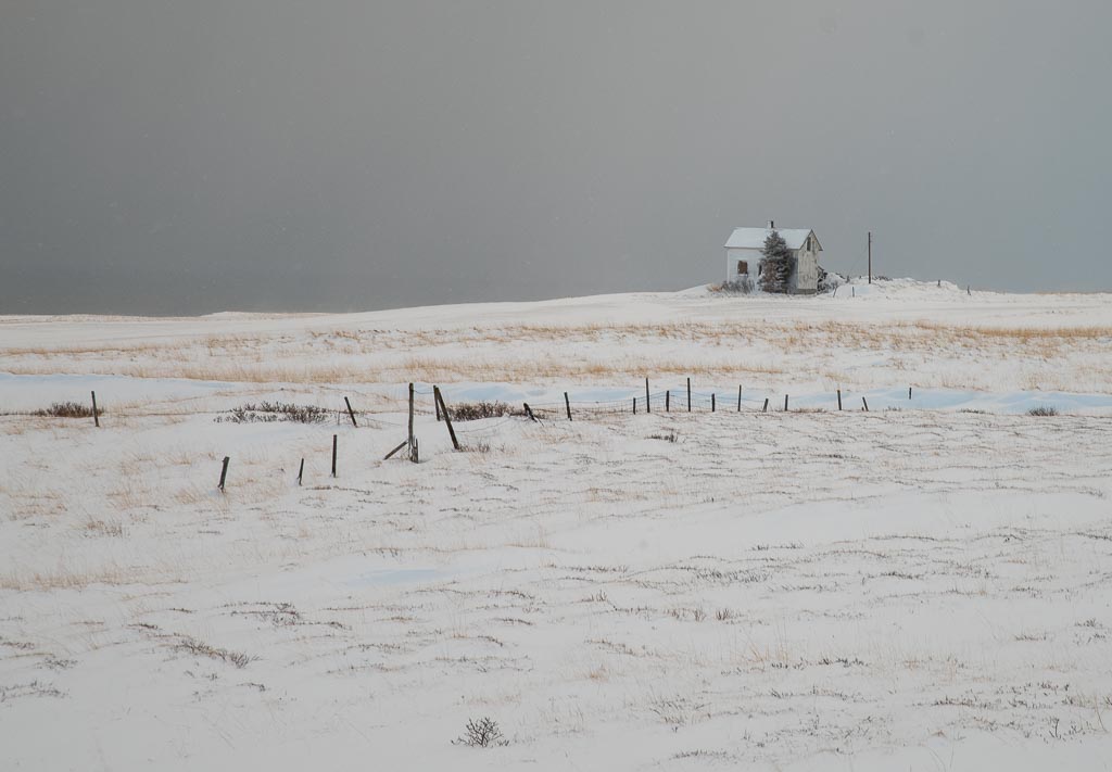 Pentax K-1 / 9 Pentax K-1   9