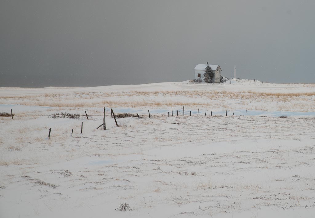 Pentax K-1 / 9 Pentax K-1   9