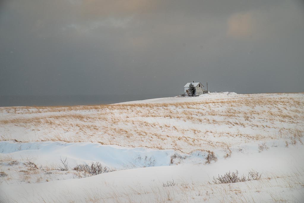 Pentax K-1 / 9 Pentax K-1   9