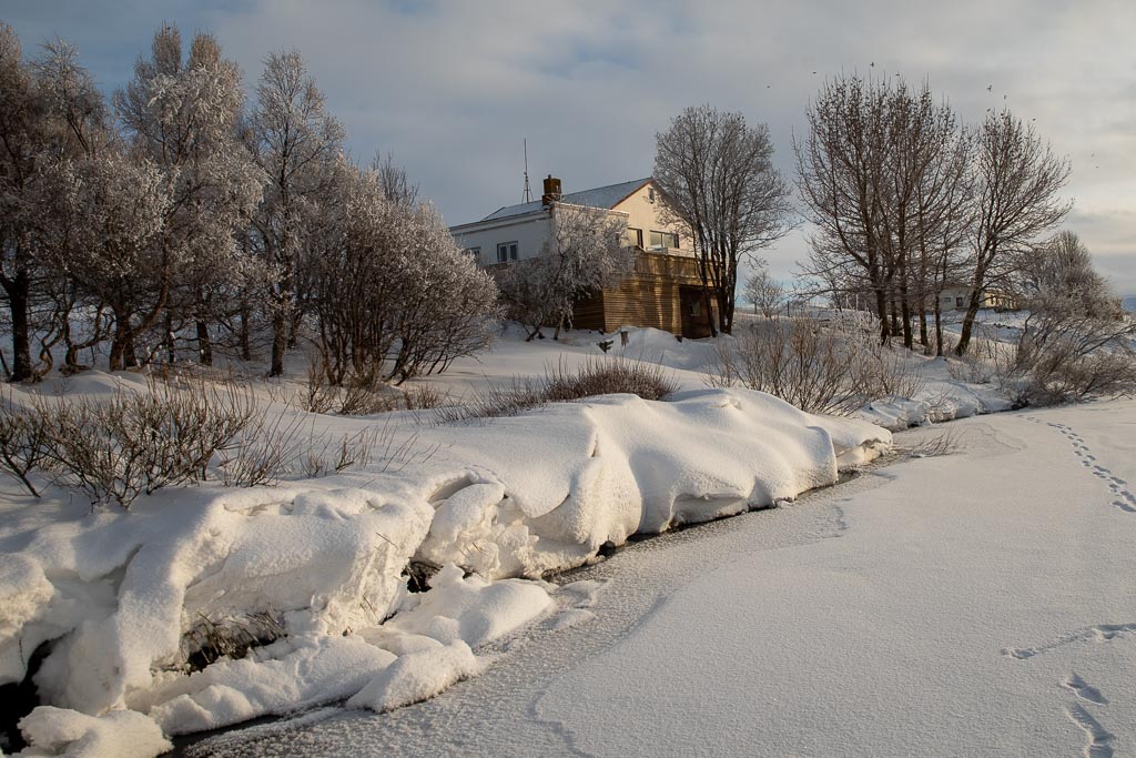 Pentax K-1 / 19 Pentax K-1   19