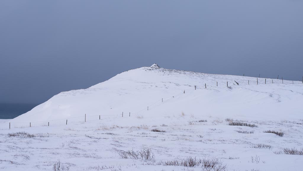 Pentax 645D / 9 Pentax 645D   9