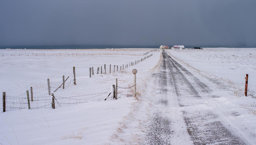 Pentax 645D / 9 Pentax 645D   9