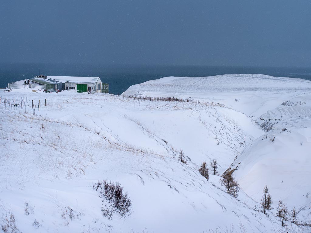 Pentax 645D / 9 Pentax 645D   9