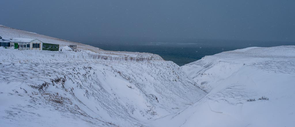 Pentax 645D / 9 Pentax 645D   9