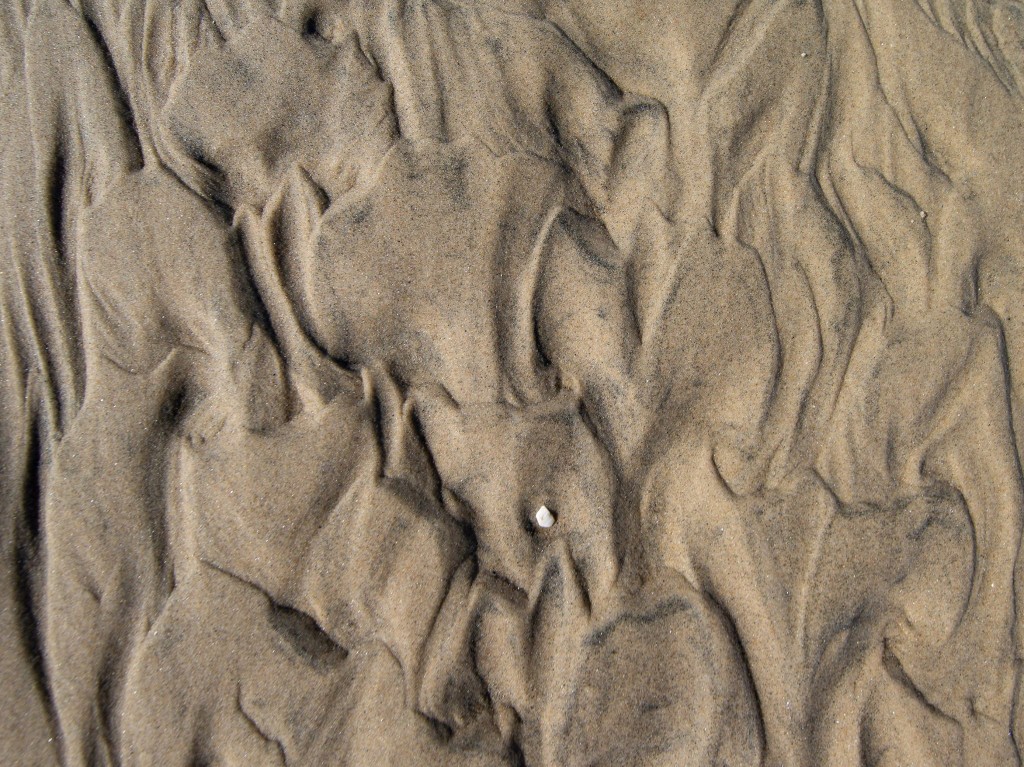 Alle utvalgte bilder fra Facabook